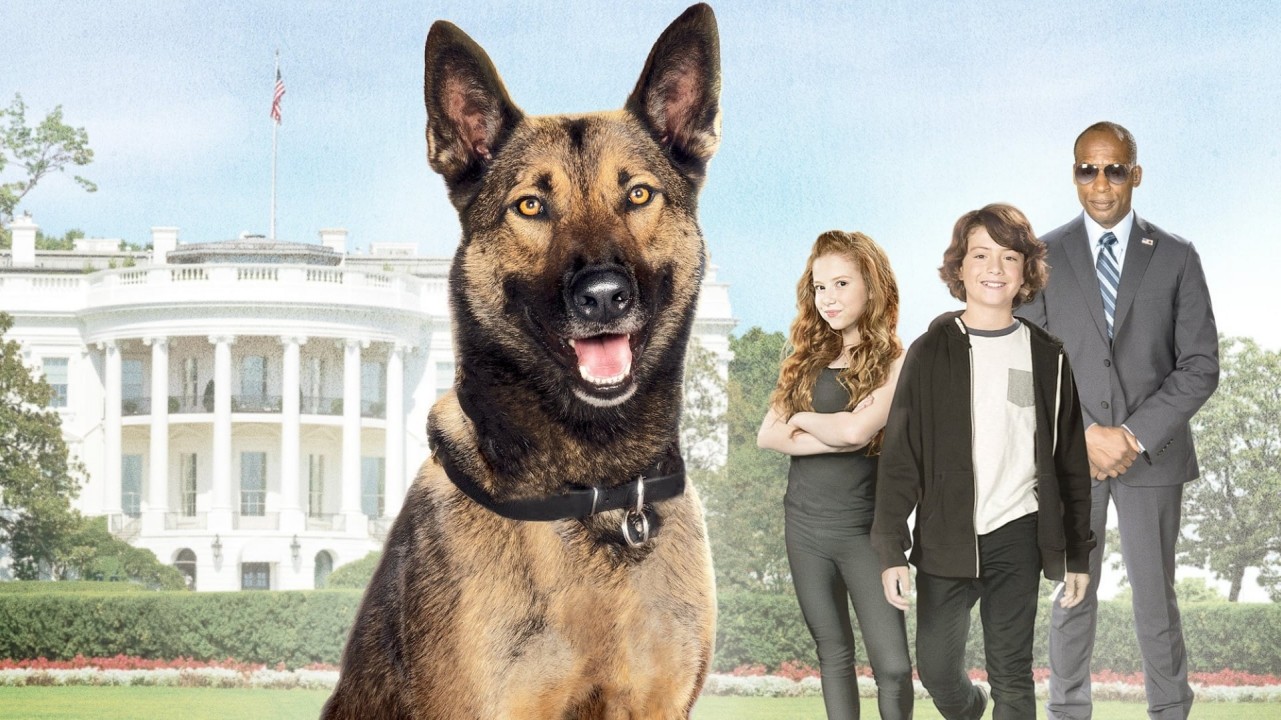 Watch Max 2 White House Hero 2017 full Movie HD on ShowboxMovies Free