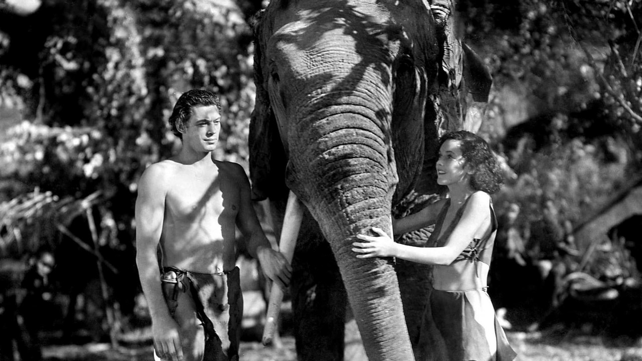Watch Tarzan And His Mate 1934 Full Movie Hd On Showboxmovies Free 
